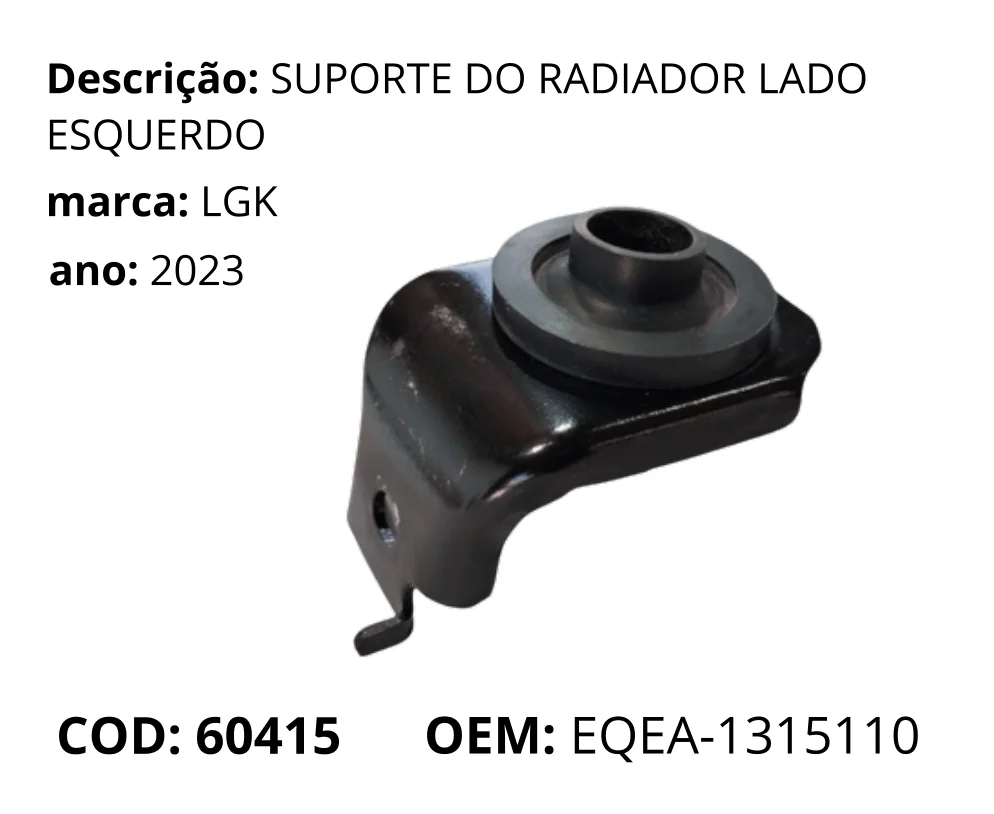 Suporte do Radiador Lado Esquerdo original para BYD Dolphin Mini, lado esquerdo, AutoVoltz