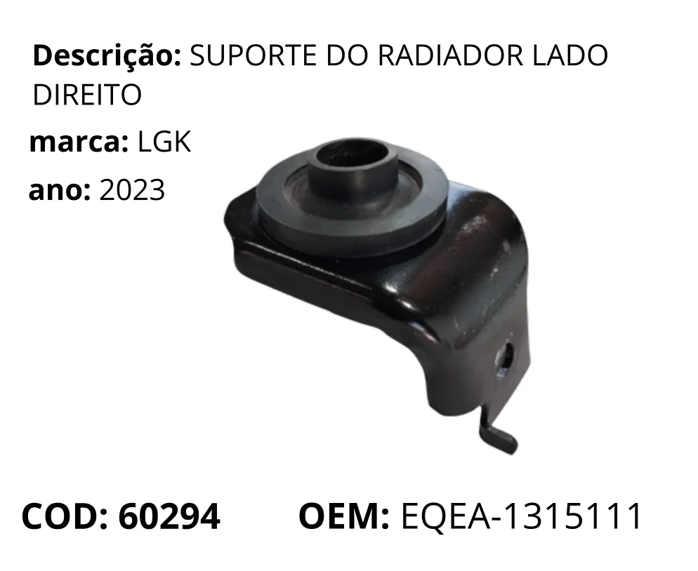 Suporte do Radiador Lado Direito original para BYD Dolphin Mini, lado direito, AutoVoltz