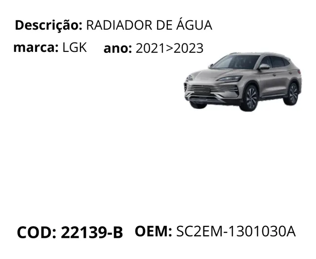 Radiador de Agua original para BYD Song Plus Premium, AutoVoltz